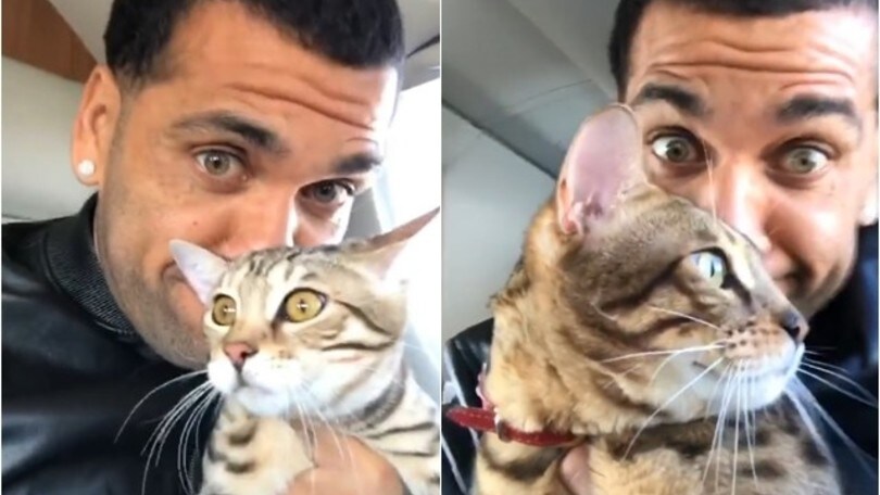Dani Alves ride ma il gatto è terrorizzato