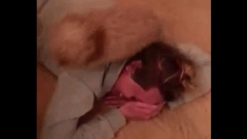 Federica Pellegrini strapazzata dal cagnolino
