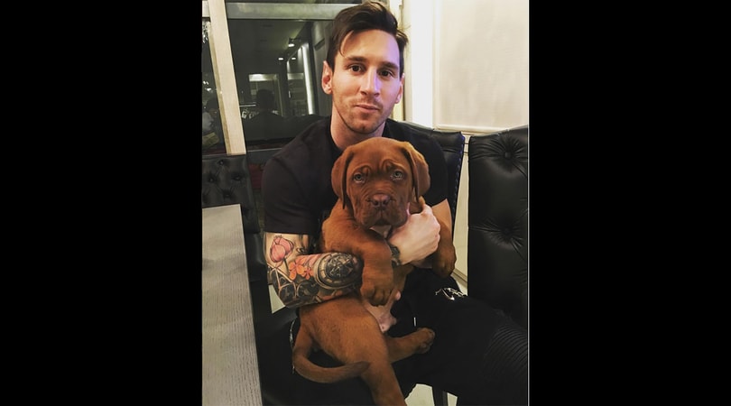 Messi e il cane che sembra Godzilla