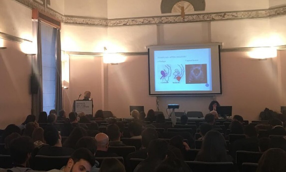 Mertens, appuntamento speciale alla Seconda Università di Napoli