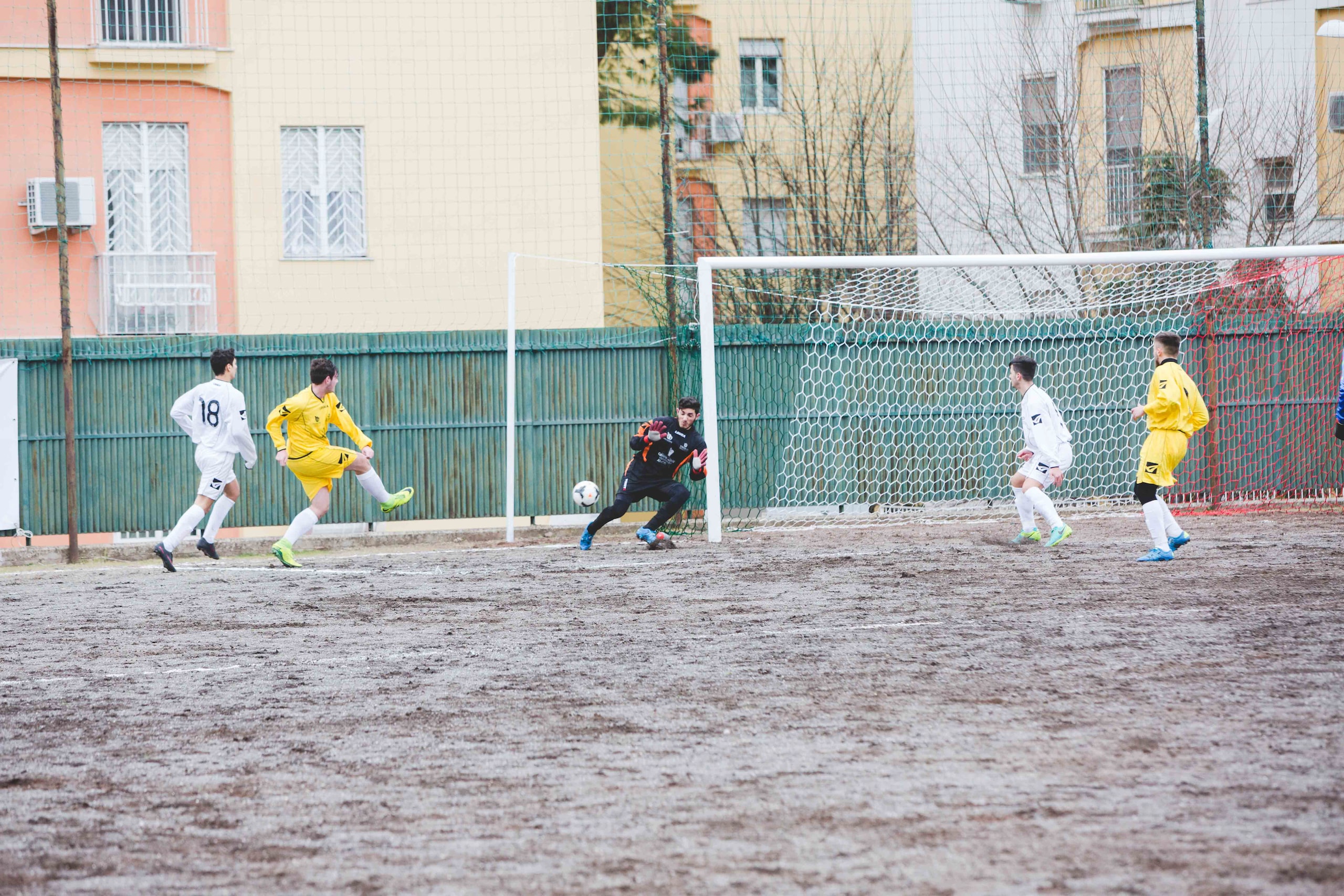 Juniores: il Domizia Lucilla ne fa 3, Einstein ko