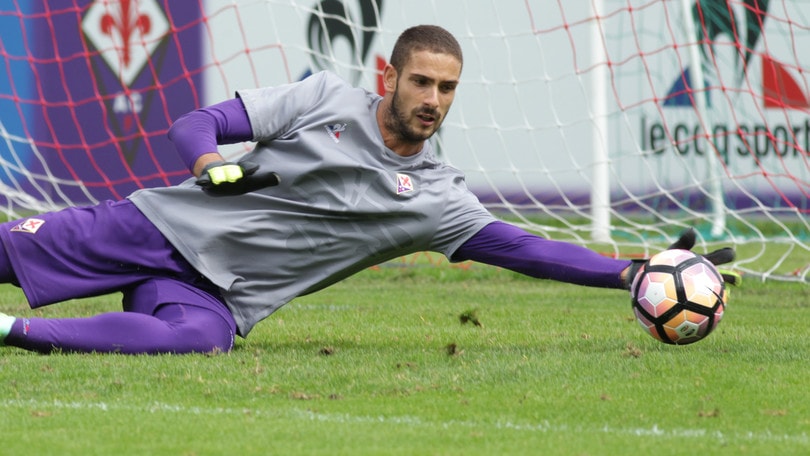 Fiorentina, ceduto Lezzerini all'Avellino. Frattali va al Parma