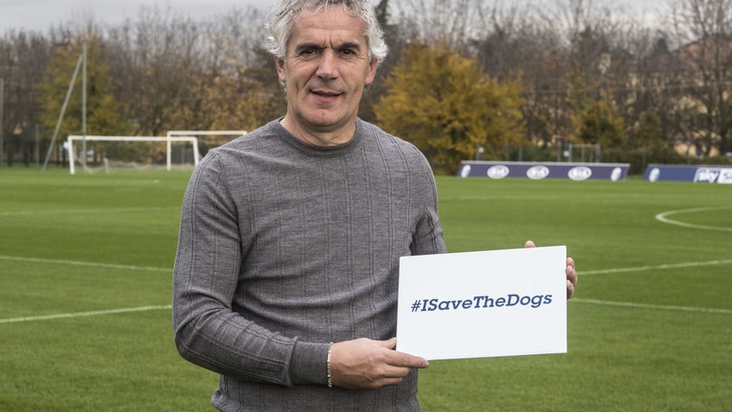 Roberto Donadoni al fianco di Save the Dogs