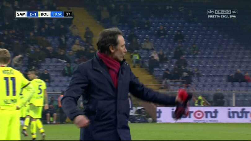 Sampdoria-Bologna, Bigon furioso con l'arbitro: espulso!