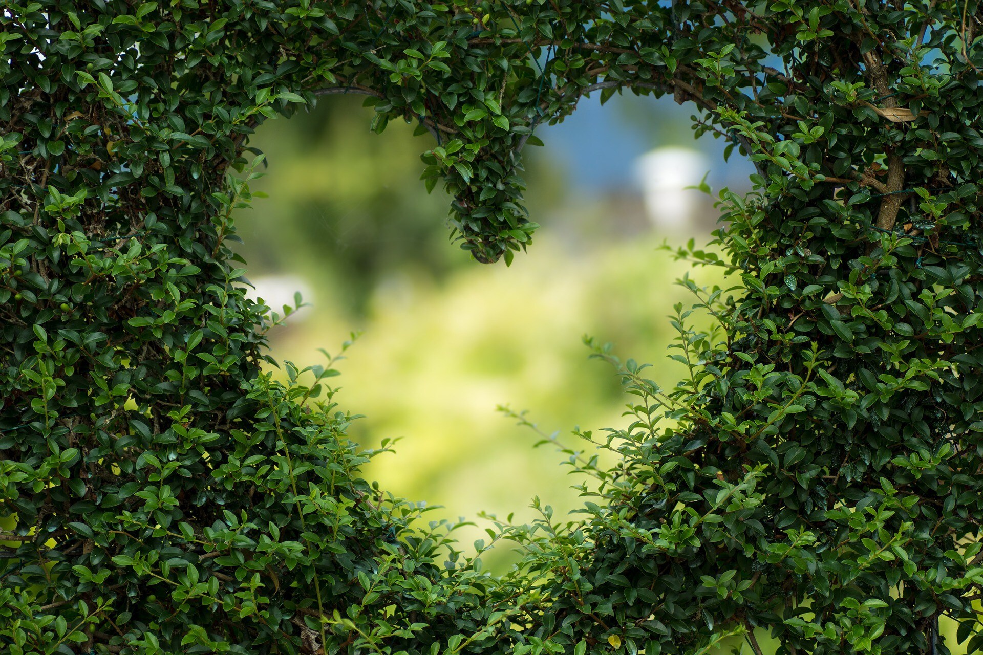 San Valentino: romanticismo made in Rome