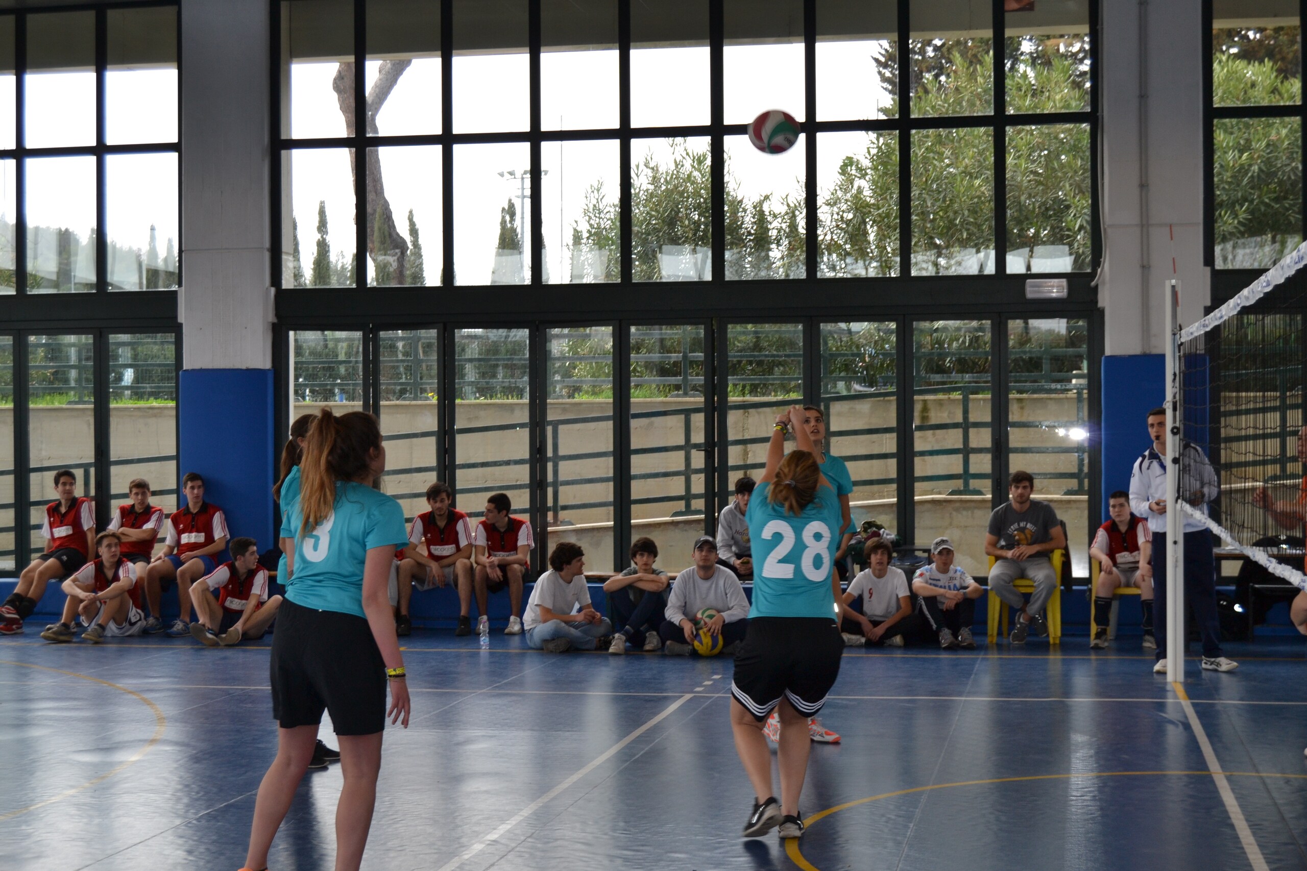 Volley Scuola: giornata da incorniciare per il Liceo Farnesina