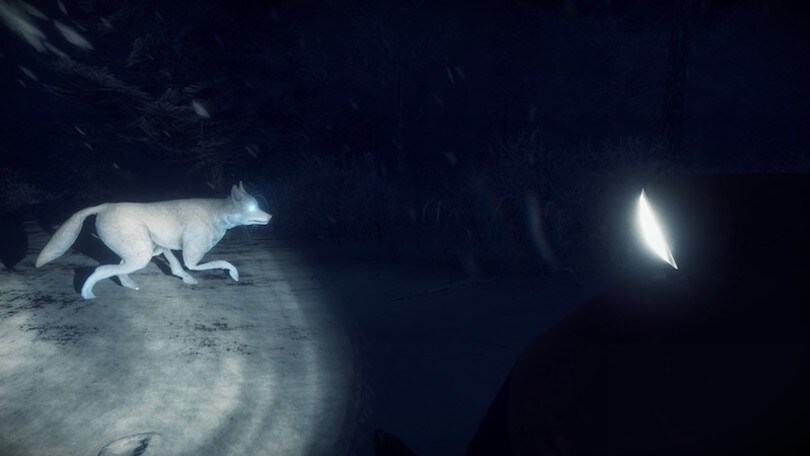 KONA, il nuovo gioco Survival-Adventure