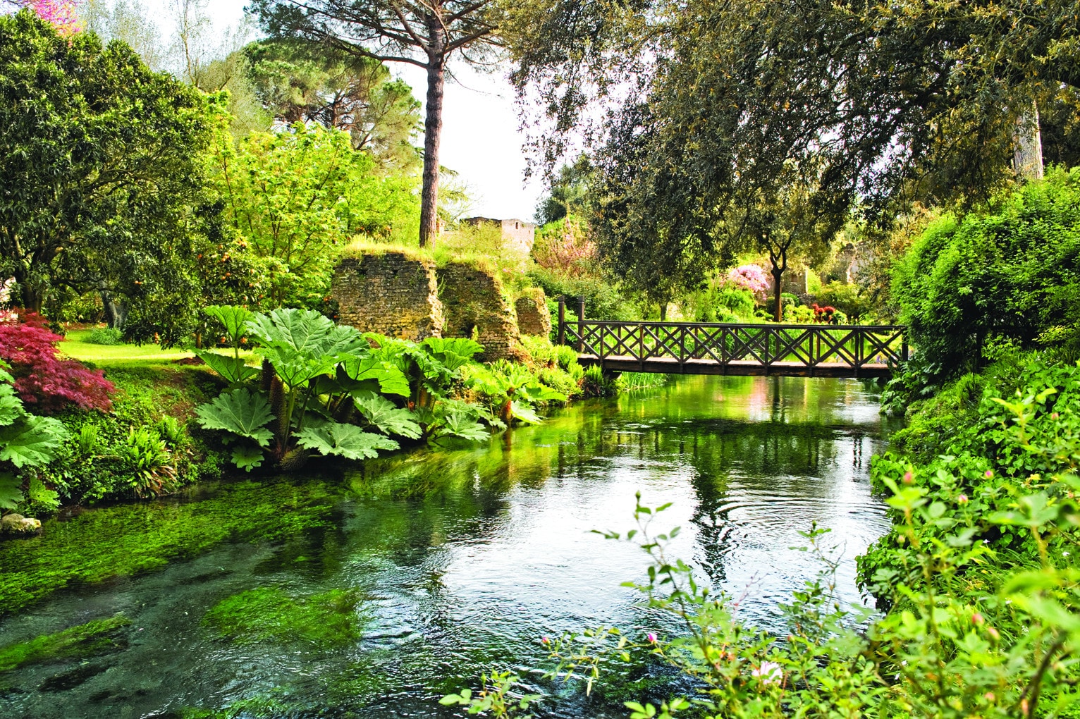 Il Giardino di Ninfa riapre al pubblico
