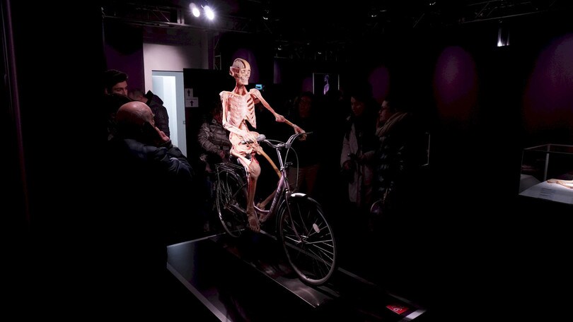 Alla scoperta del corpo umano con Real Bodies