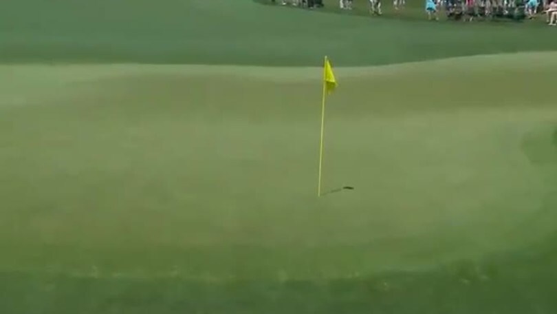 Lo show del golfista: palla in buca senza rimbalzare!