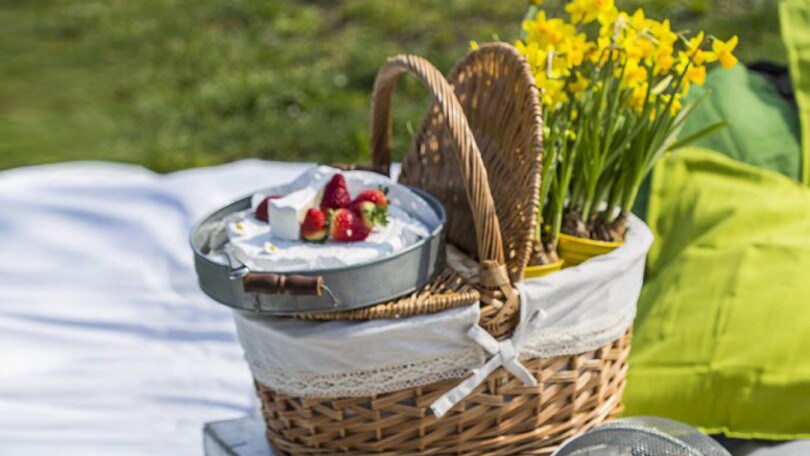 Pasquetta nel verde della città