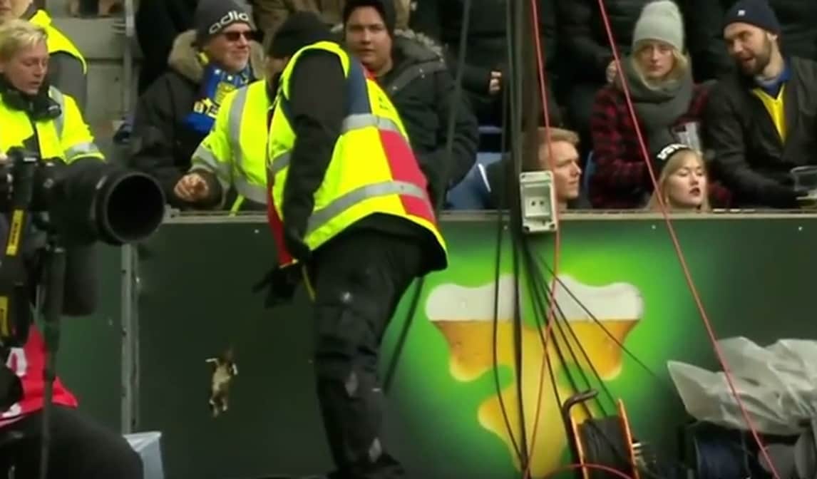 Danimarca shock: topi morti dalle tribune contro i calciatori