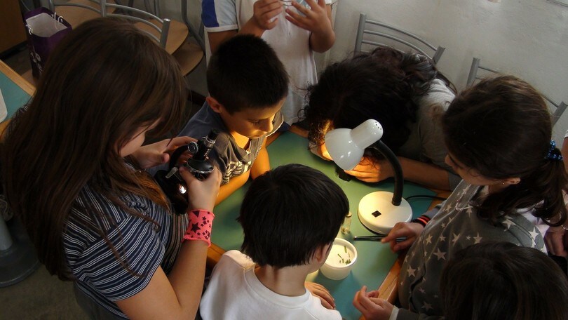 Un weekend di divertimento per i più piccoli