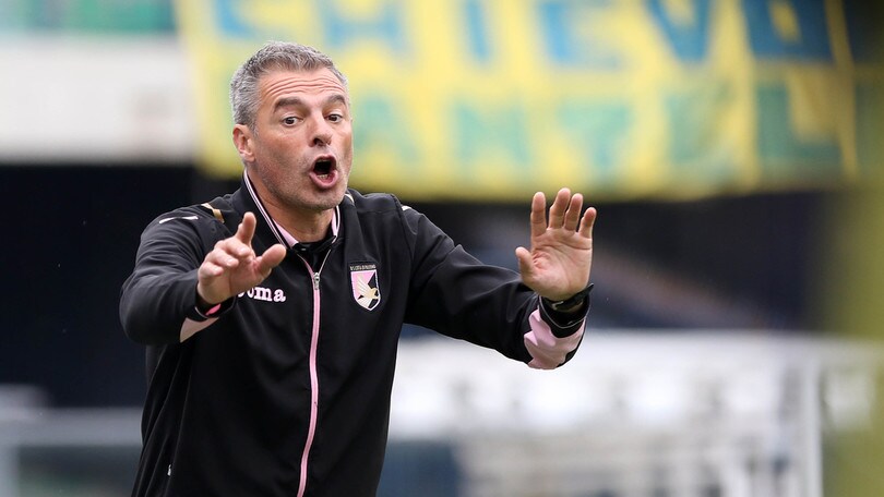 Serie A Palermo, Bortoluzzi: «La squadra vuole finire a testa alta»