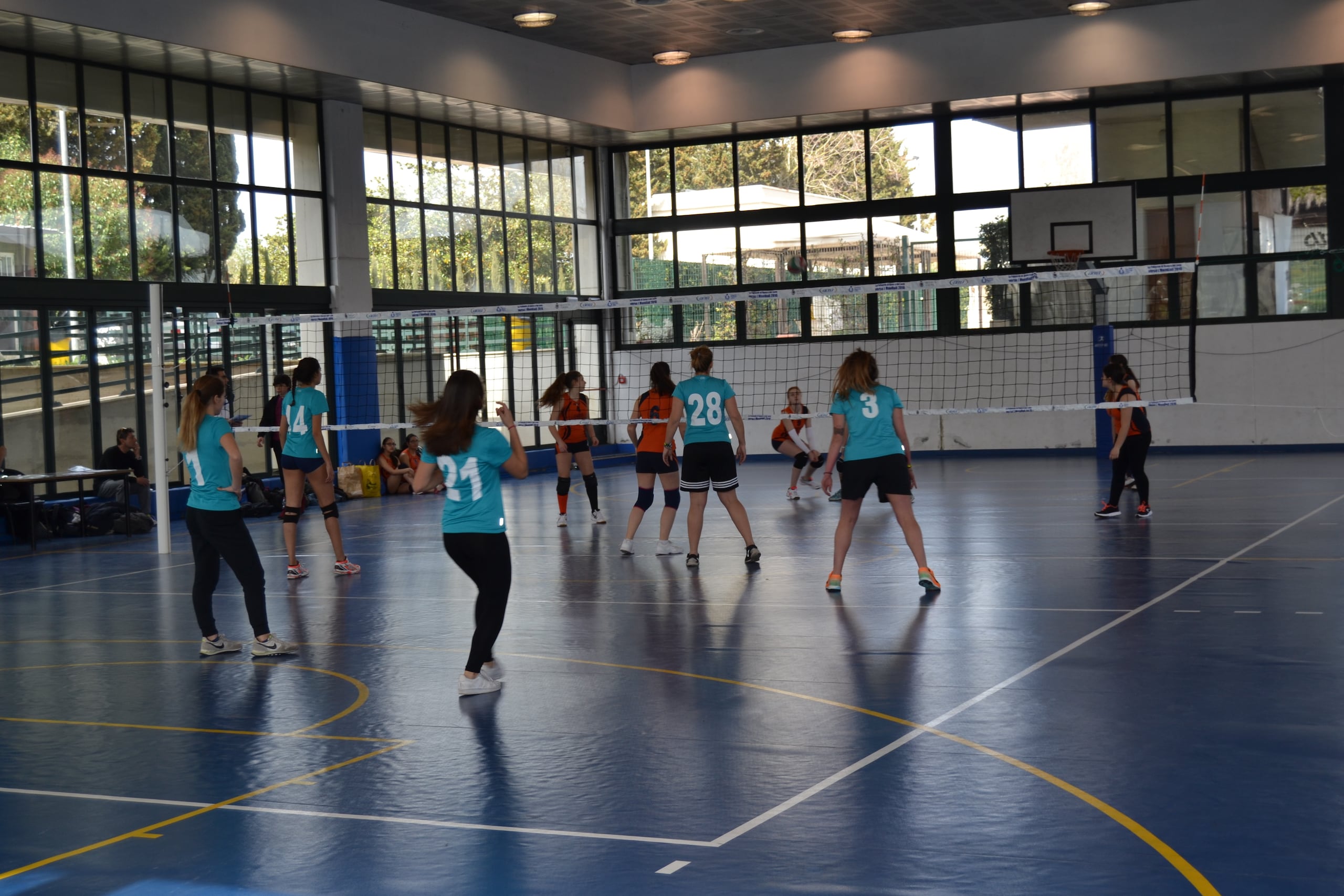 Volley Scuola: il Giordano Bruno vola in semifinale