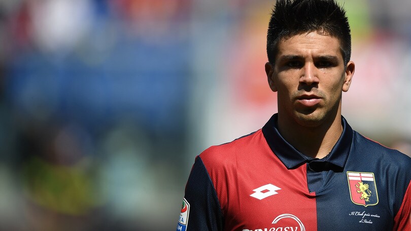 Calciomercato Fiorentina tra Simeone, Zapata e Nestorovski