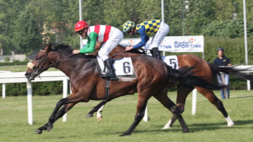 Mac Mahon diventa giapponese
