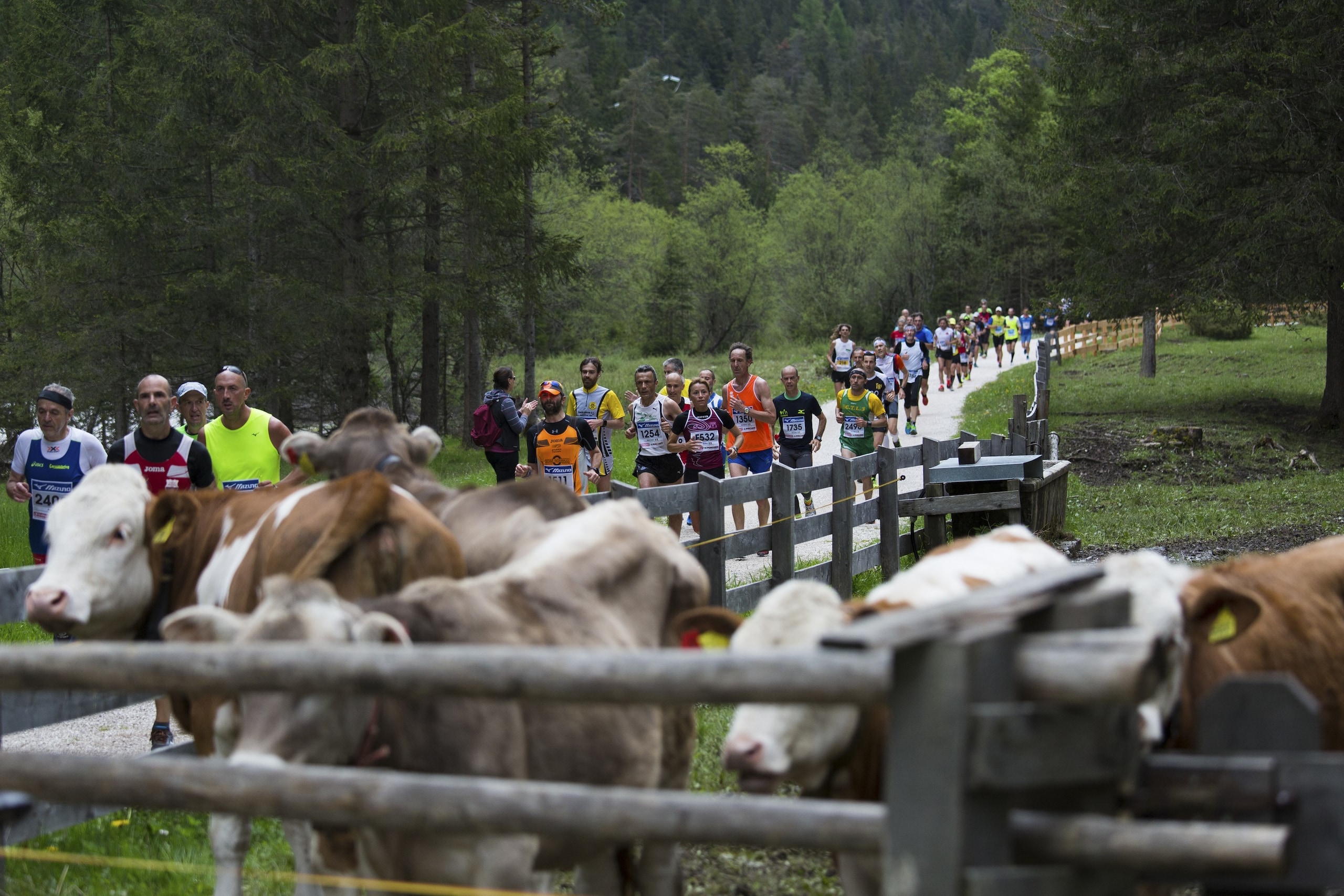 Cortina Dobbiaco Run: tre giorni di gare per tutti