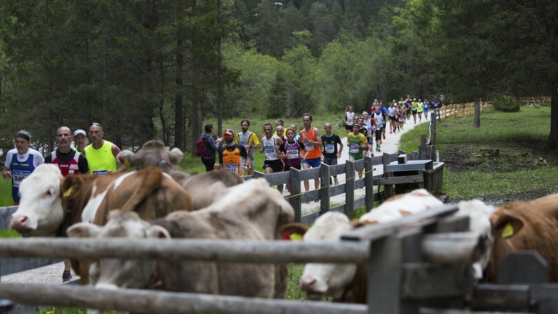 Cortina Dobbiaco Run: tre giorni di gare per tutti