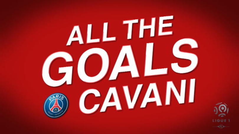 Cavani, tutti i gol 2016/17