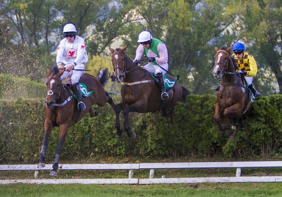 Mazhilis & c. a Merano