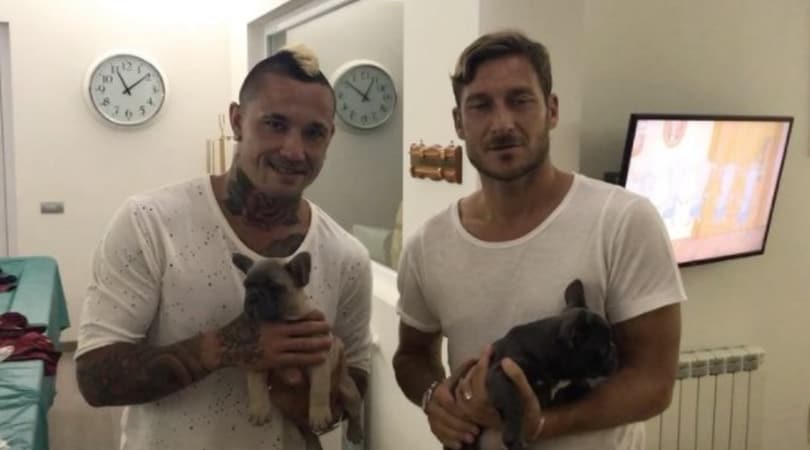 Due cuccioli per Totti e Nainggolan: ecco Giotto e Buuba