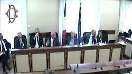 Tavecchio: "Negli stadi anche farmacia, cinema e lap dance"