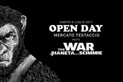 Al Mercato di Testaccio arriva l'invasione delle scimmie