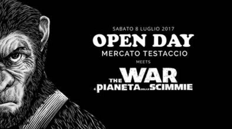 Al Mercato di Testaccio arriva l'invasione delle scimmie