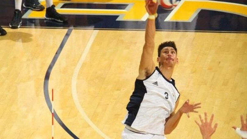 Volley: Superlega, Piacenza parla israeliano: ecco Hershko