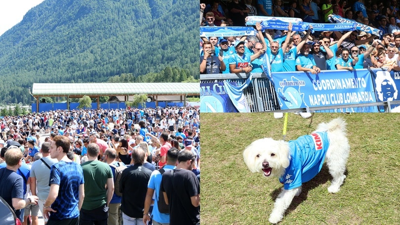 Napoli, l'entusiasmo dei tifosi a Dimaro