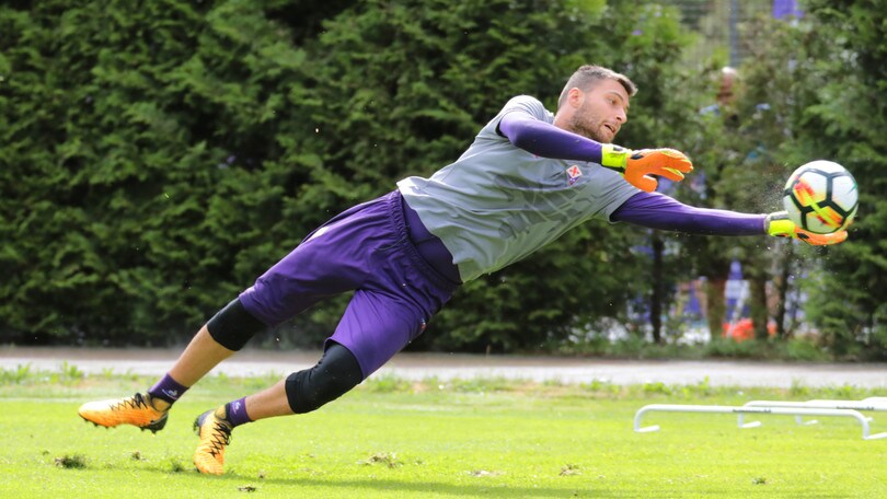 Calciomercato Fiorentina, Sportiello: «Che emozione essere qui»
