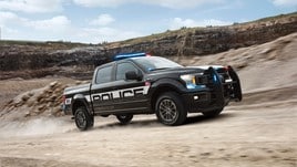 Ford F-150 Police Responder, foto