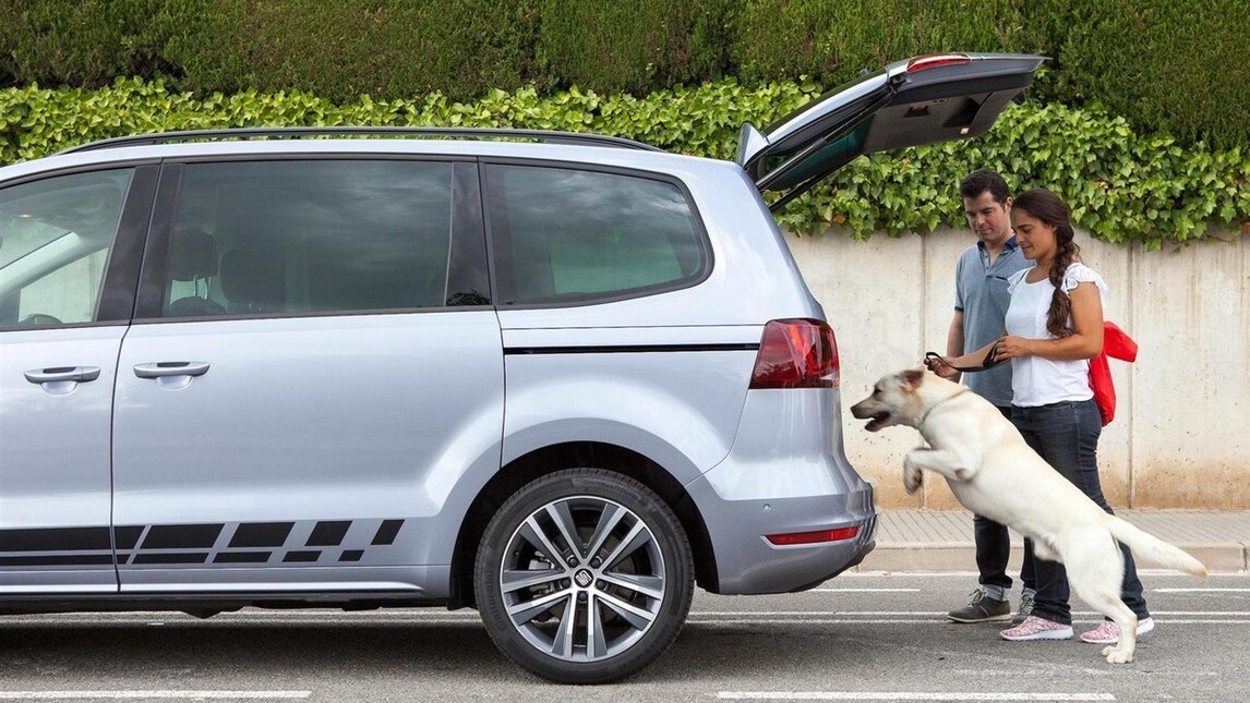 Vacanze Col Cane In Auto 11 Consigli Per Viaggiare Tranquilli