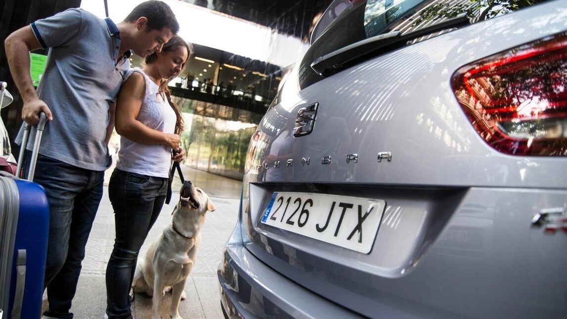 Vacanze Col Cane In Auto 11 Consigli Per Viaggiare Tranquilli