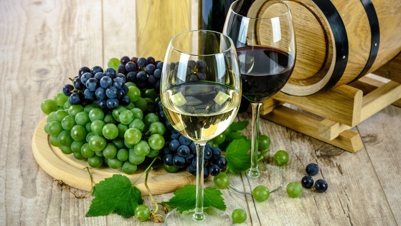 Montefiascone celebra il vino