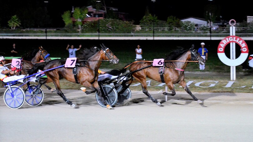 Favorite a picco al Garigliano