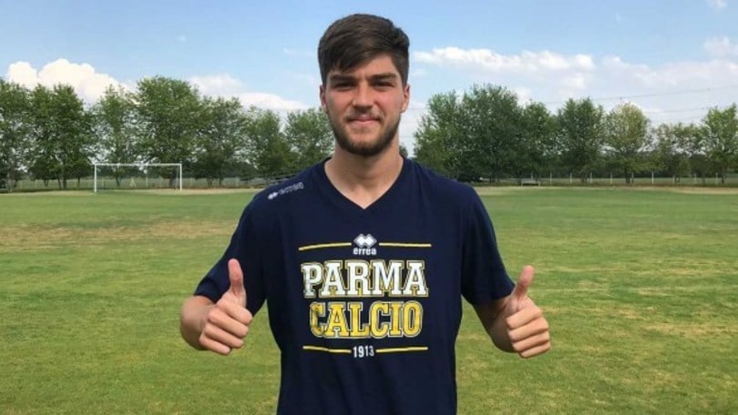 Calciomercato Parma, ecco Sierralta dall'Udinese. Giorno al Modena