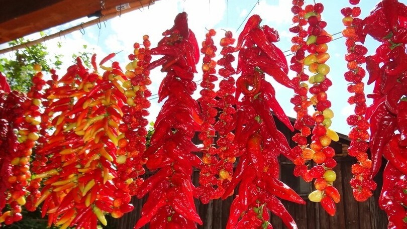Rieti in festa con il peperoncino