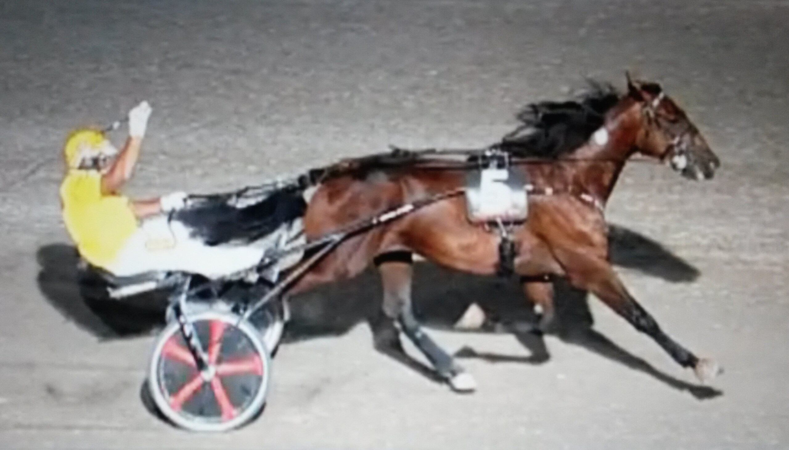 Von Wise, altro nome da Derby