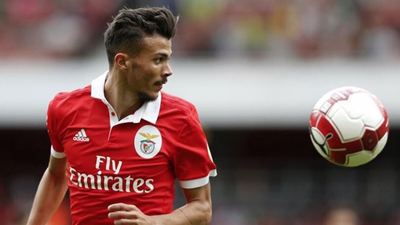 Diogo Gonçalves, la grande promessa del Benfica che piace alla Lazio