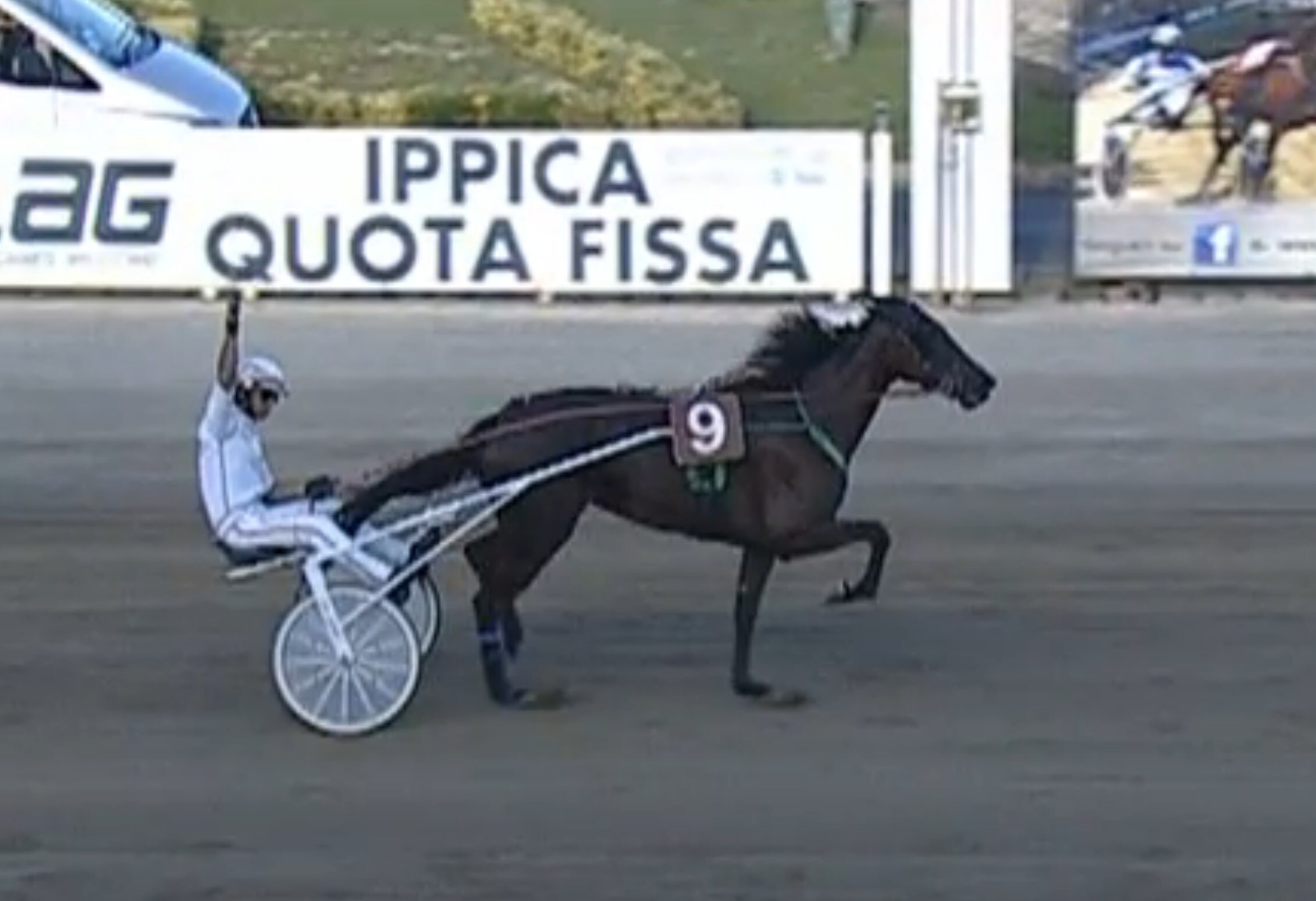 I maschi in bianco con Vash Top