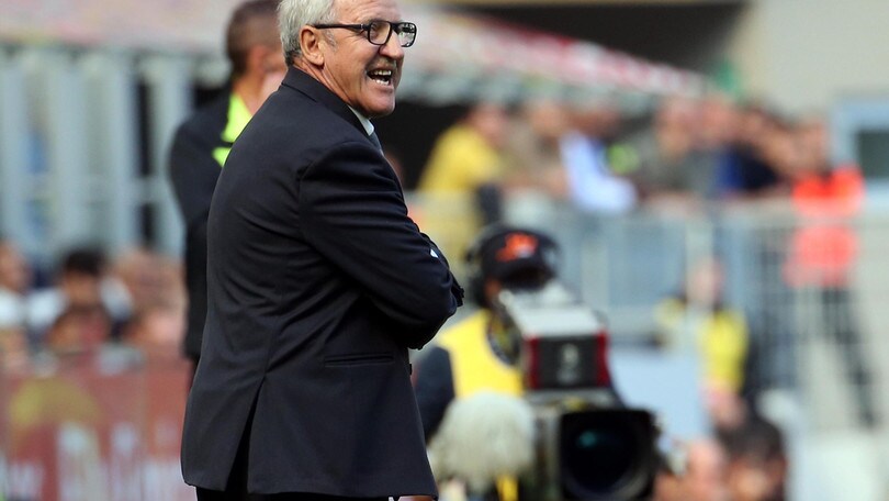 Serie A Udinese, Del Neri: «Sampdoria? Vogliamo punti»