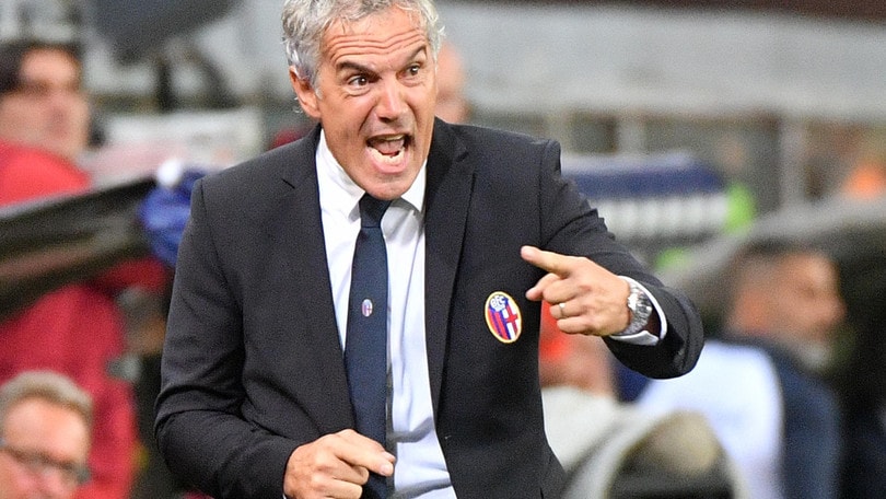 Serie A Bologna, Donadoni: «Vogliamo il massimo da ogni partita»