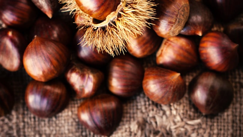 Sapori e profumi di stagione