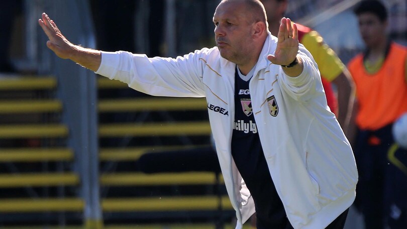 Serie B Palermo, Tedino: «Novara? Vincere sarebbe importante»