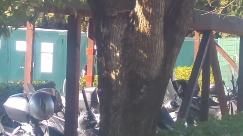 Roma, Karsdorp a Villa Stuart