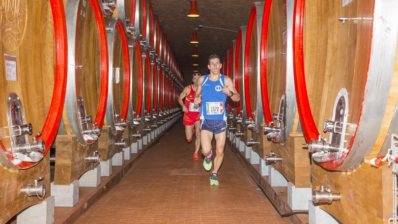 Sabato il Valtellina Wine Trail tra colori, emozioni e sapori