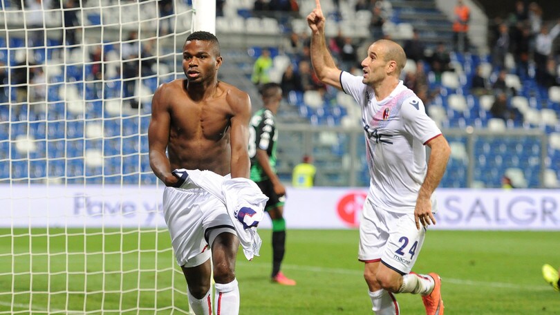 Serie A Bologna, part-time d'oro: Okwonkwo numero uno