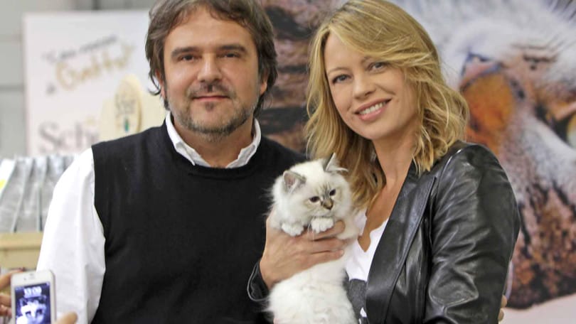Supercat Show alla Fiera di Roma